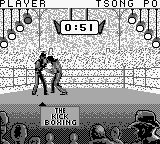 Kick Boxing, The (Japan) In game screenshot